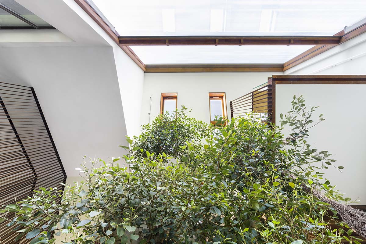 Carlo Ratti Associati completes private house around ten-meter-tall ficus tree in Italy