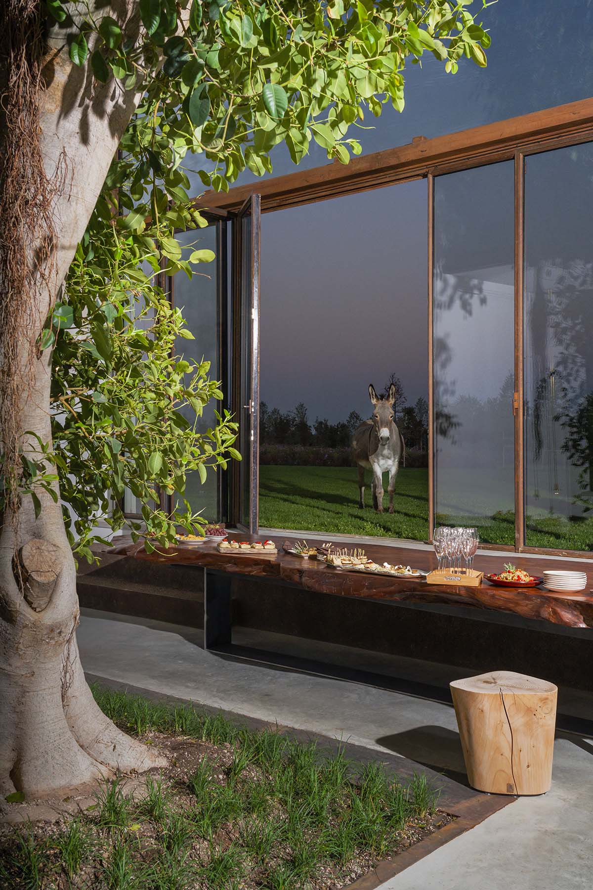 Carlo Ratti Associati completes private house around ten-meter-tall ficus tree in Italy