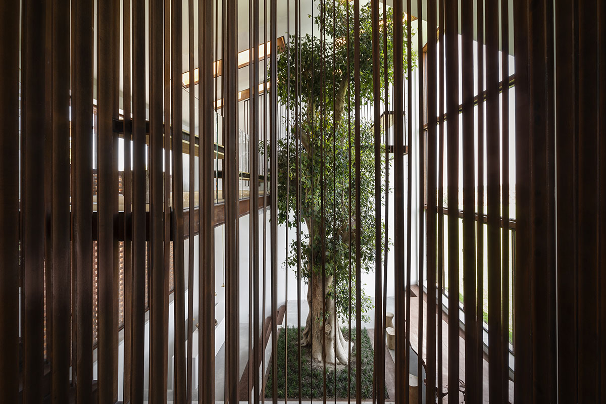 Carlo Ratti Associati completes private house around ten-meter-tall ficus tree in Italy