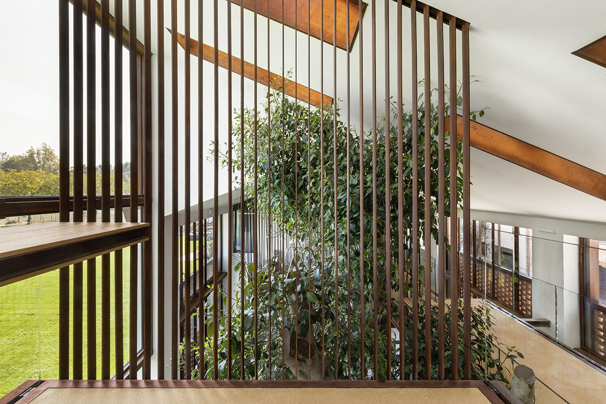 Carlo Ratti Associati completes private house around ten-meter-tall ficus tree in Italy