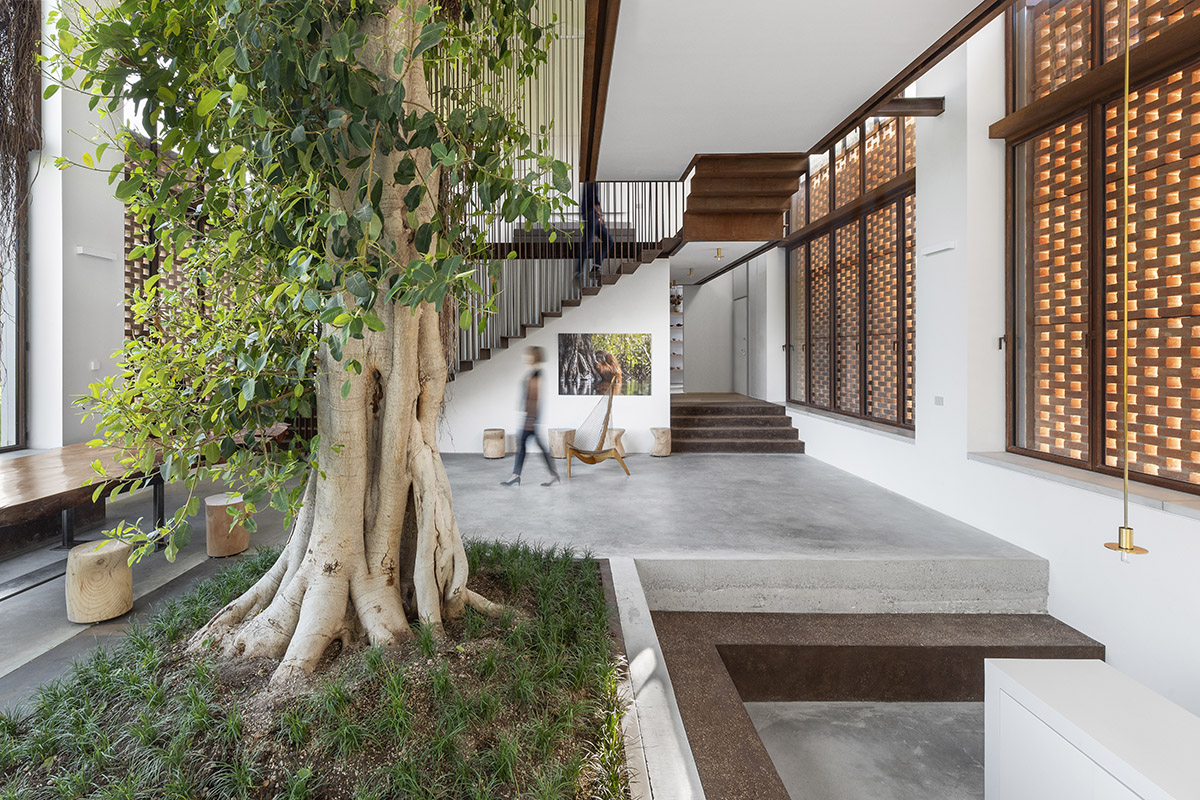 Carlo Ratti Associati completes private house around ten-meter-tall ficus tree in Italy