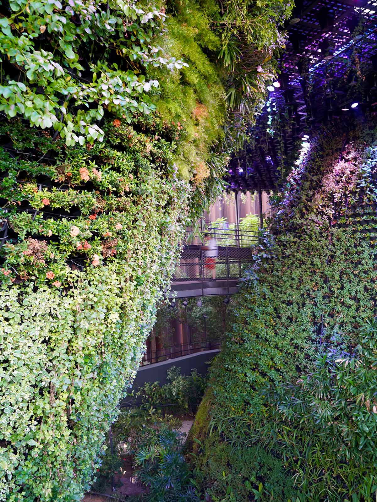 A city in nature: Singapore Pavilion presents Nature. Nurture. Future at Expo 2020 Dubai
