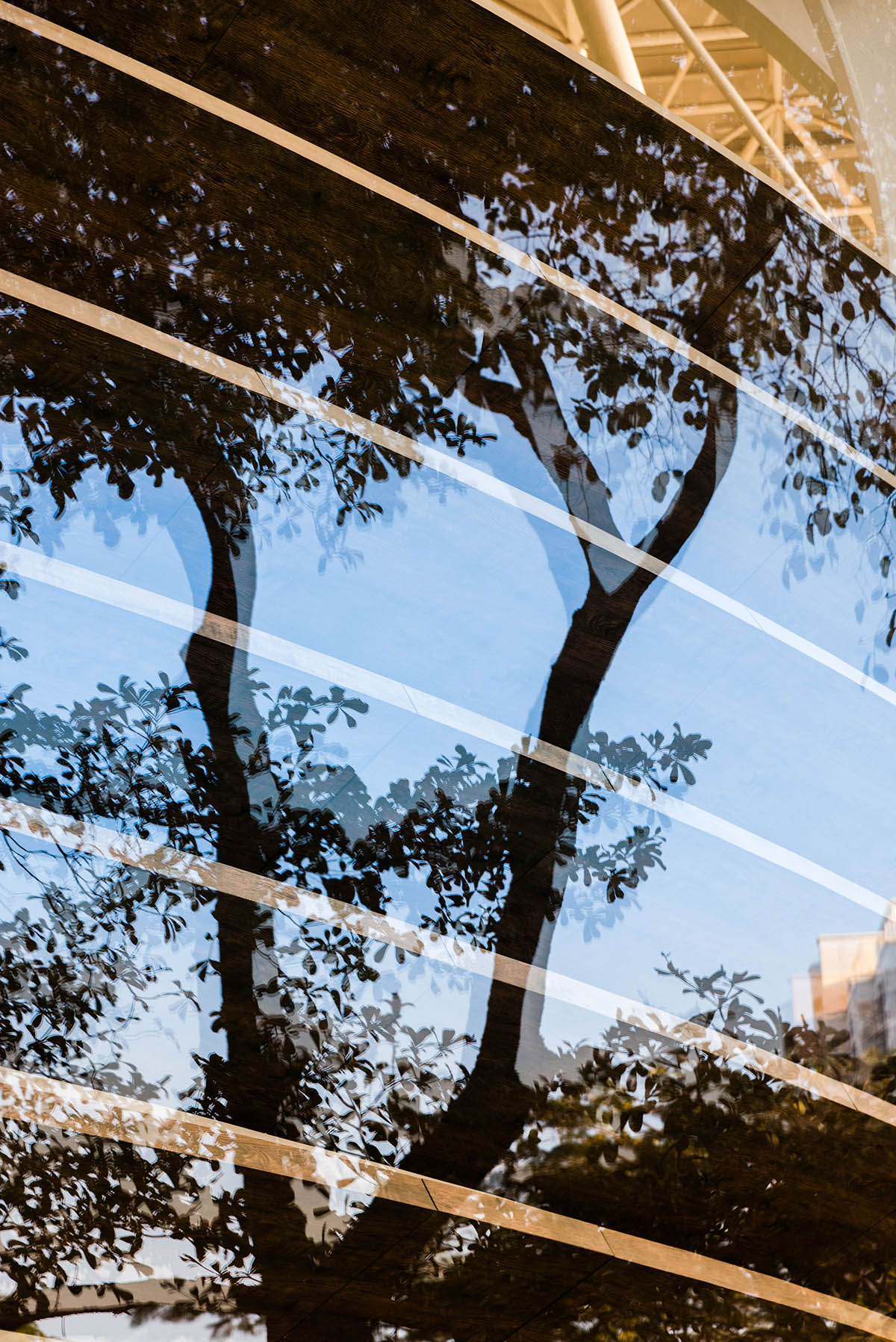 M Moser Associates builds art center featuring an egg-shaped nest emerging from the cocoon 