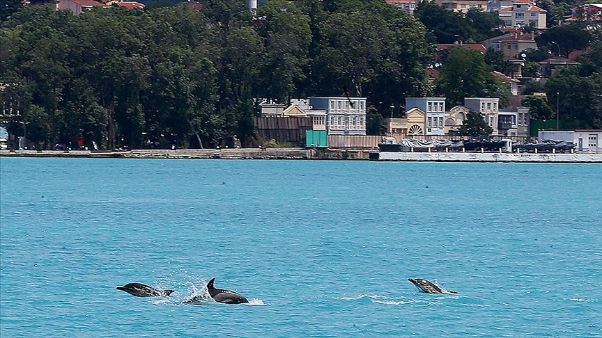 Alternative Means Of Transportation Amid A Pandemic