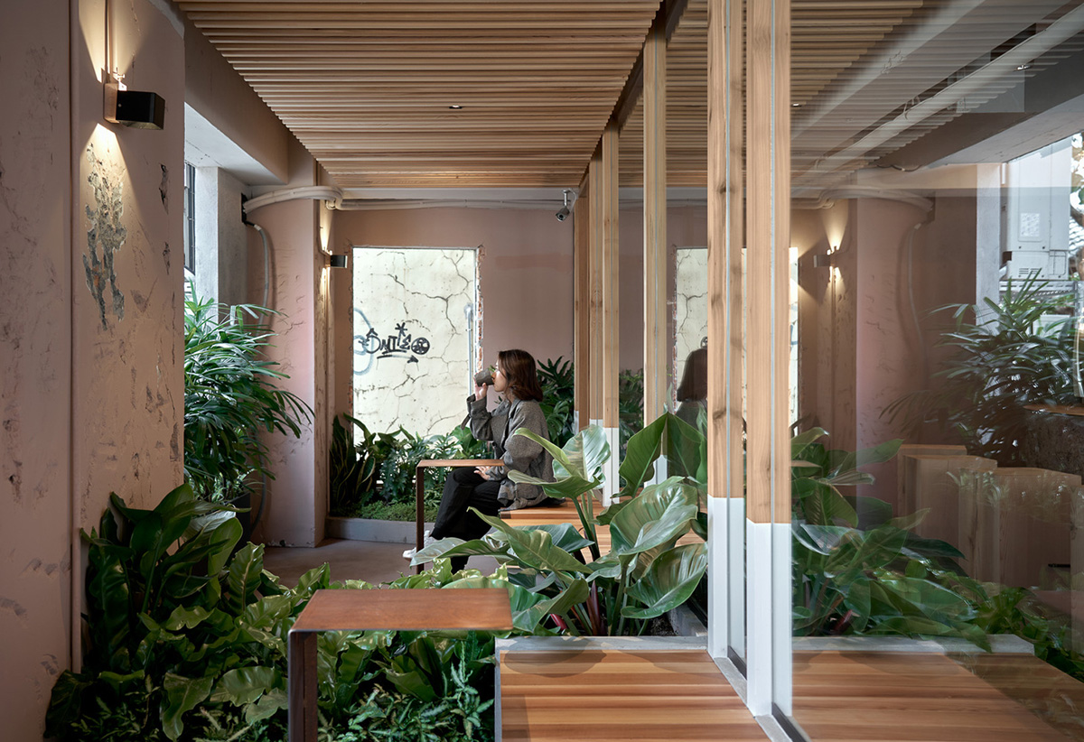 Soar Design Studio adds greenery and smooth surfaces to chocolate store offering garden-like space