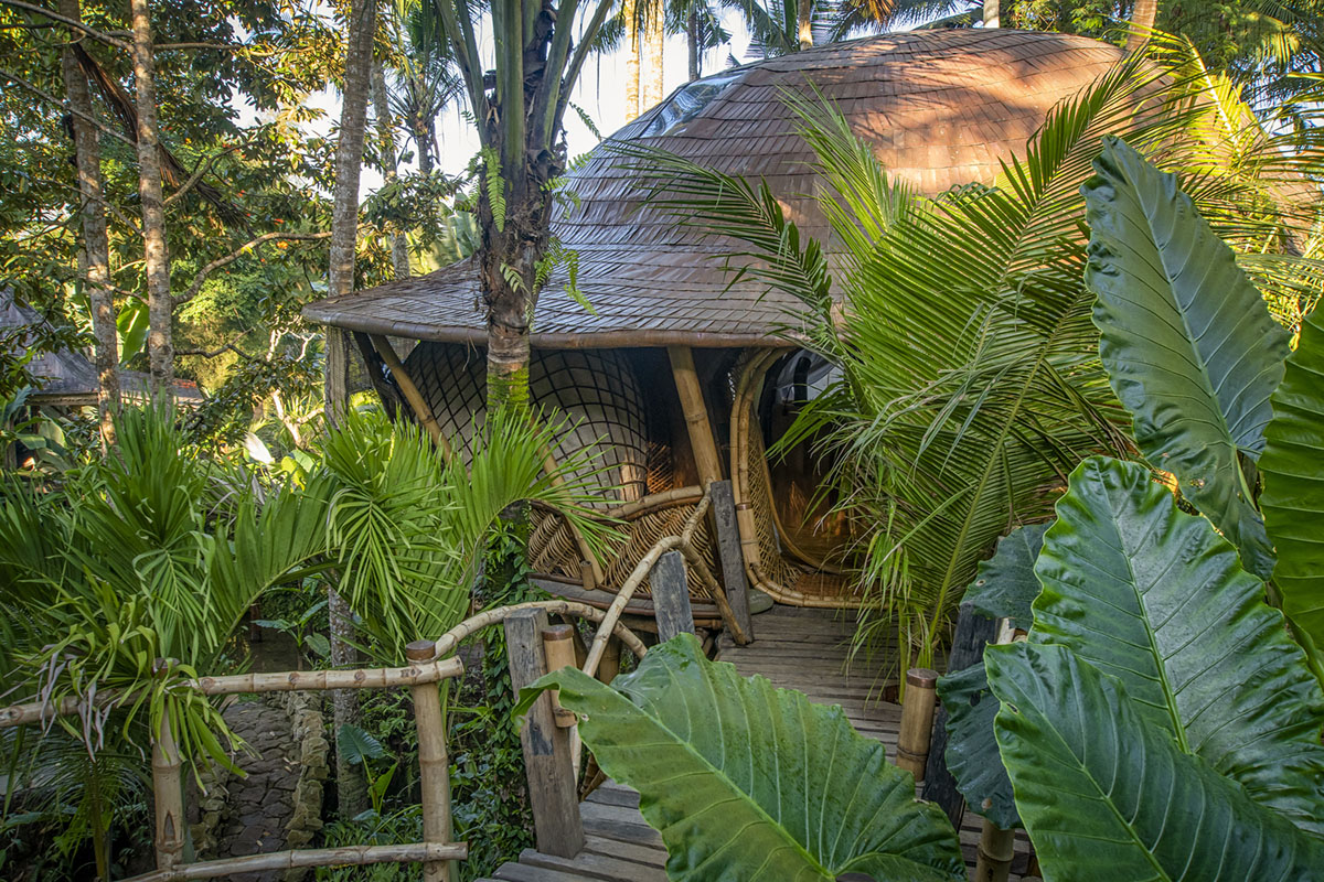 Pablo Luna Studio Built Bamboo Tree House Hotel Elevated On Bamboo Pillars Within Lush Forest Of