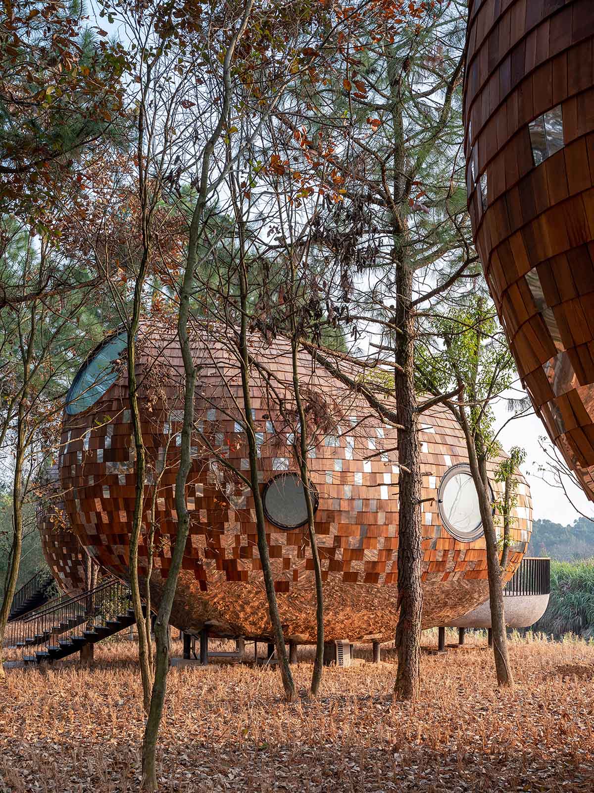 ZJJZ Built The Seeds Made Of Ellipsoidal Surfaces And Clad In Pine