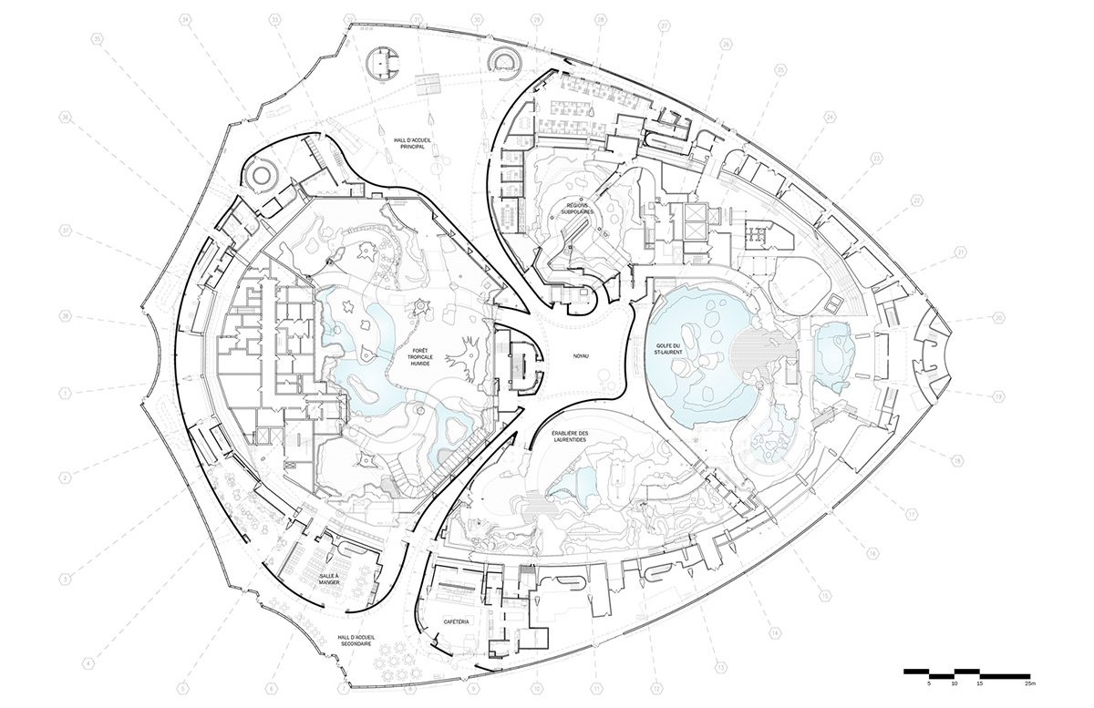 Kanva revitalizes Montréal Biodome with triangular beams and multiple pathways in Canada