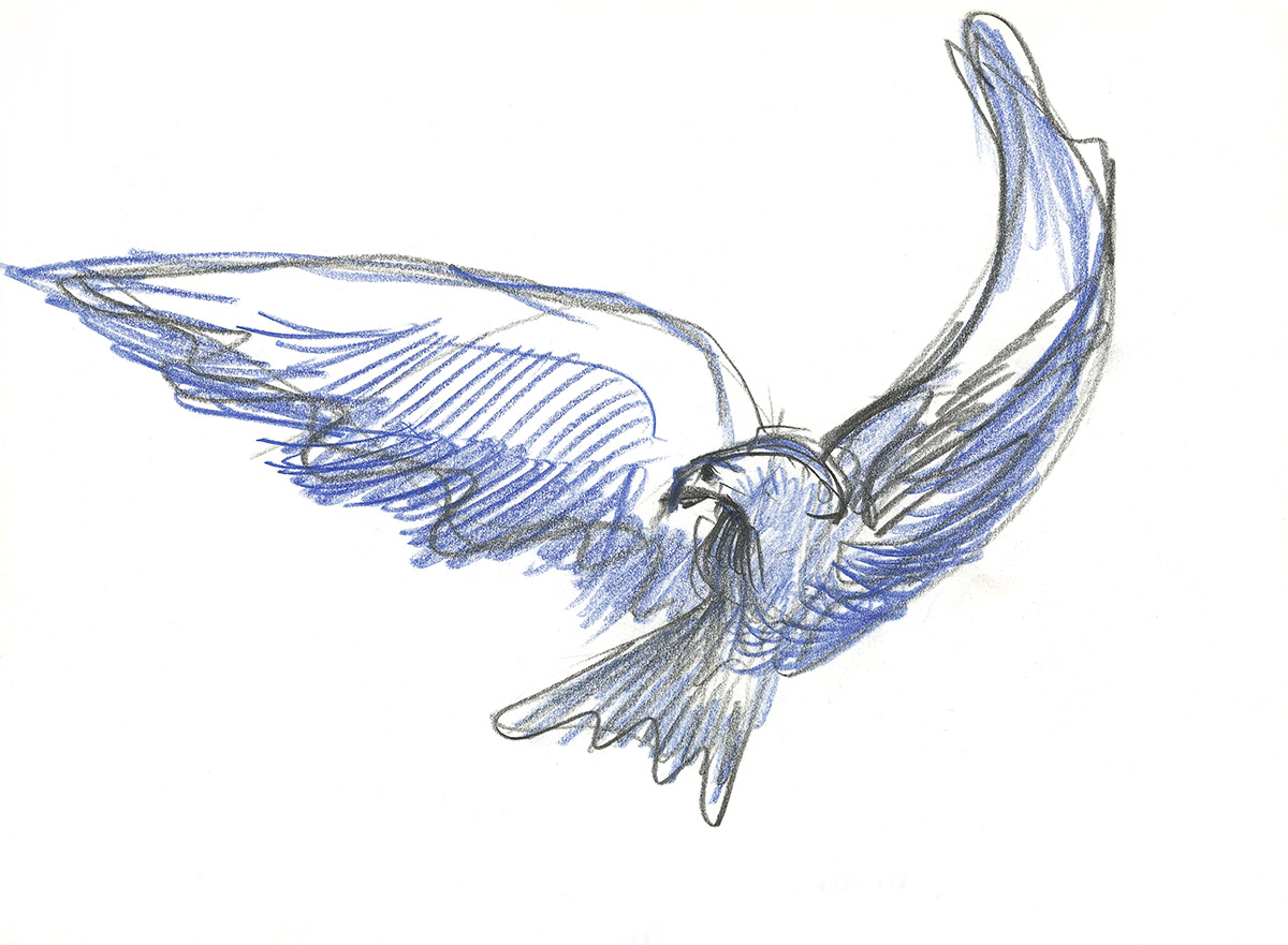 Santiago Calatrava reveals drone video and additional photographs from UAE Pavilion at Expo Dubai