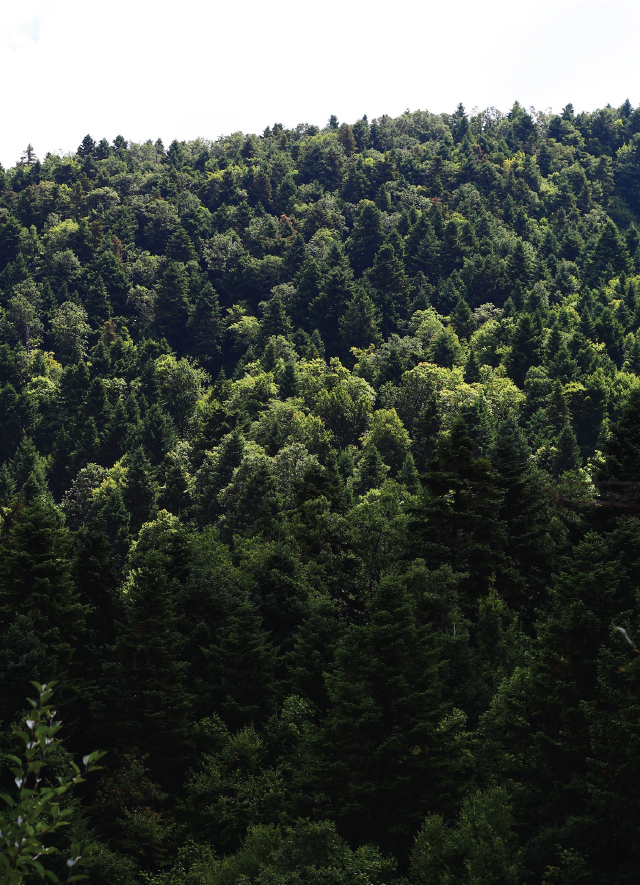 Atelier Albania launches publishing of the 2017 Summer Academy