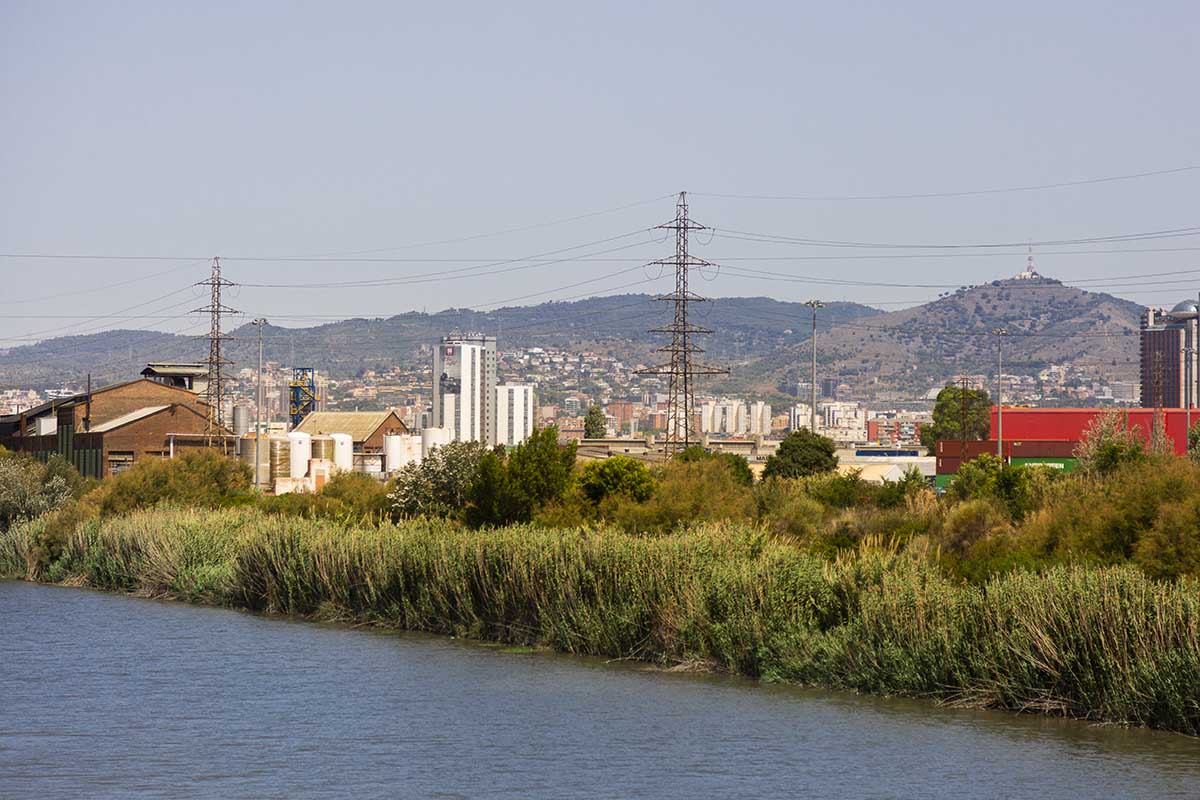 Manifesta 15 will be held from September 8 to November 24, 2024 in Barcelona