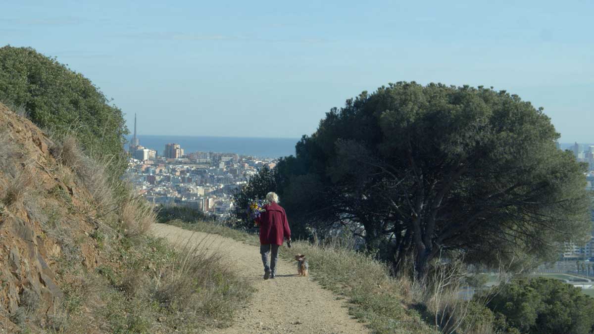 Manifesta 15 will be held from September 8 to November 24, 2024 in Barcelona