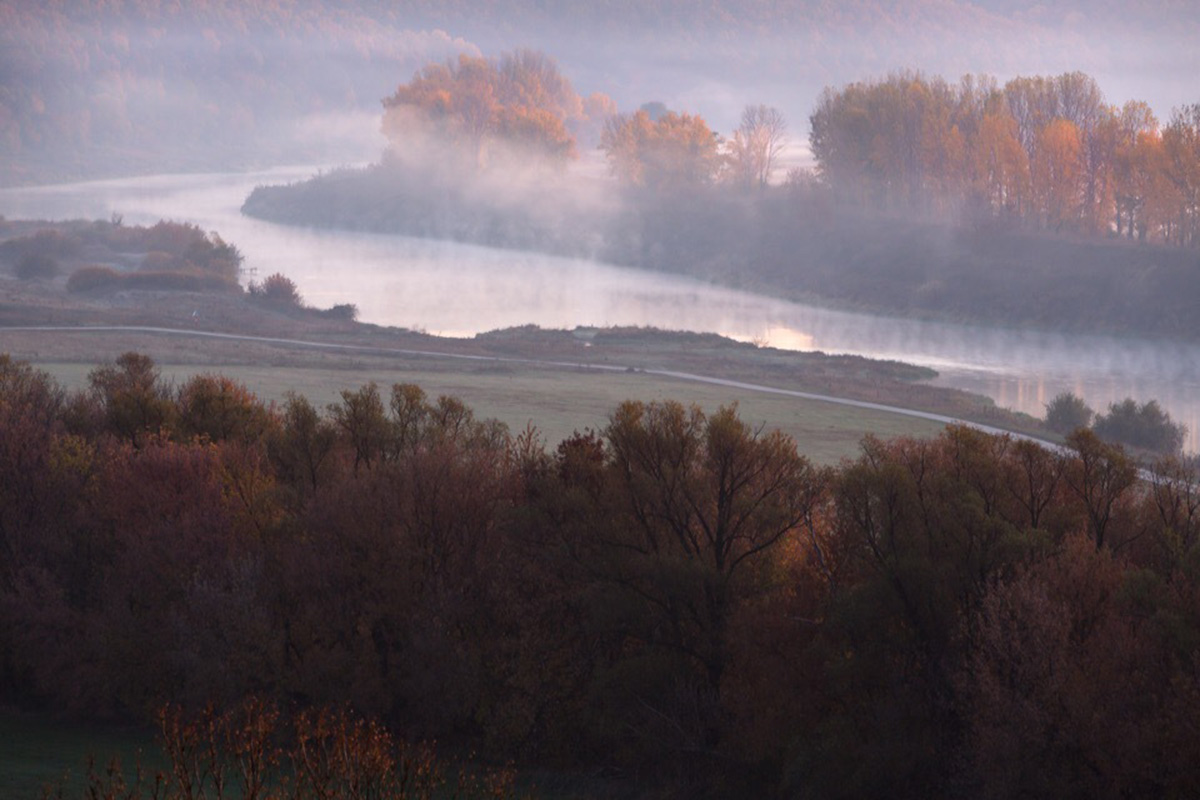 Hospitality Center is an ensemble of different black wooden buildings in Russian Lipetsk region