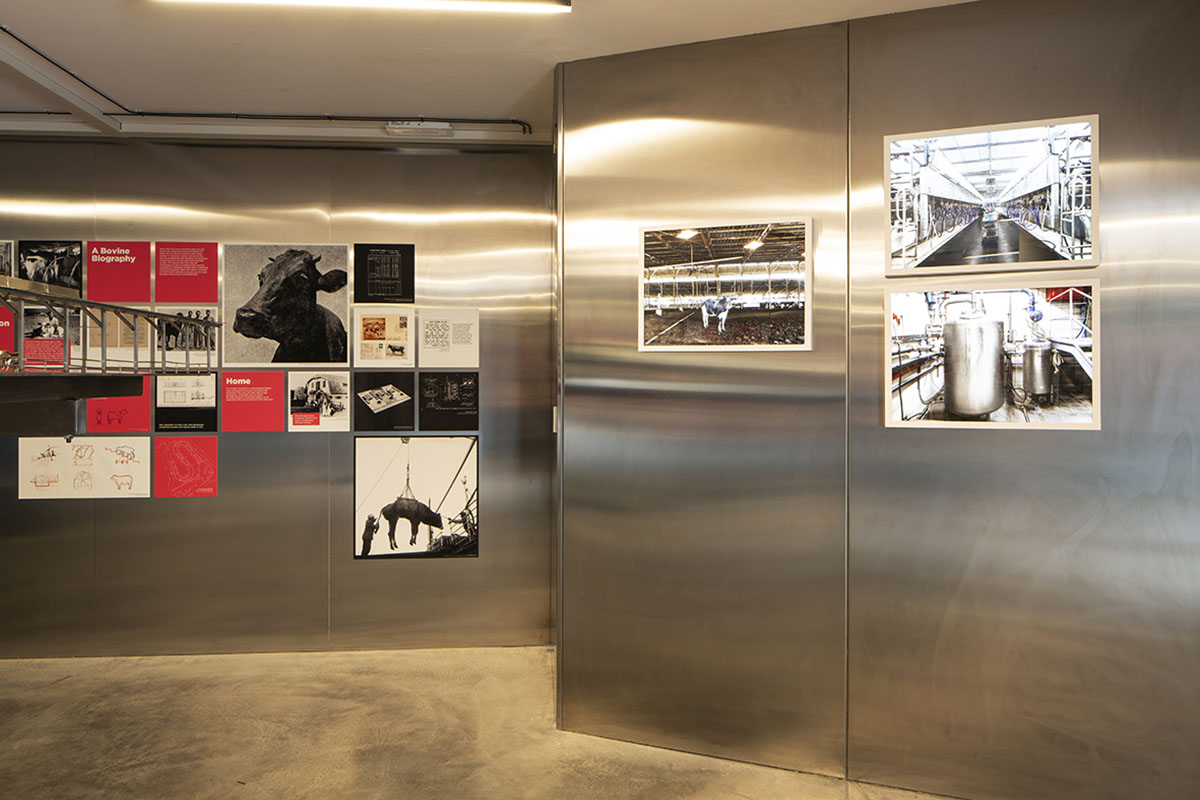 Israel Pavilion explores reciprocal relations between humans and animals at Venice Biennale