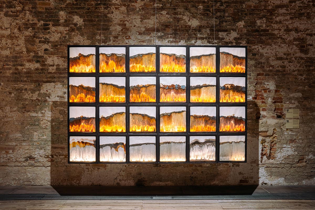 The Türkiye Pavilion unfolds the richness and depth of the soil at the 2025 Venice Biennale