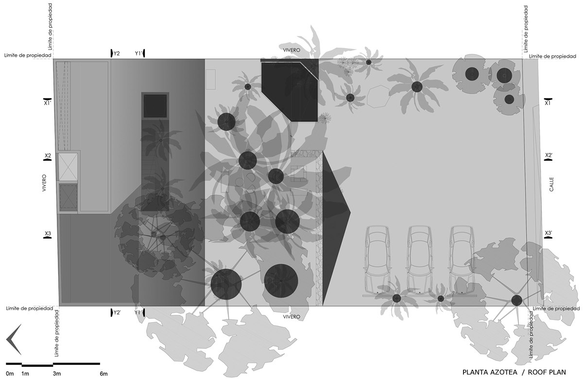 TACO completes this homelike and pinkish workshop studio in a lush green of Yucatan Peninsula