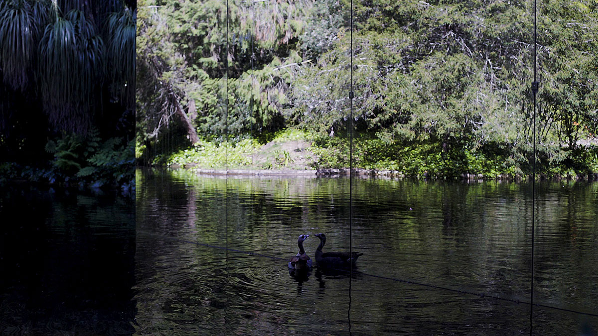 Lake Pavilion: Brothers Grimm landscapes?