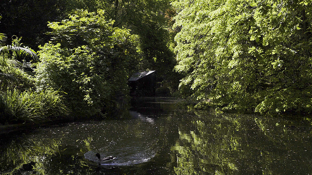 Lake Pavilion: Brothers Grimm landscapes?