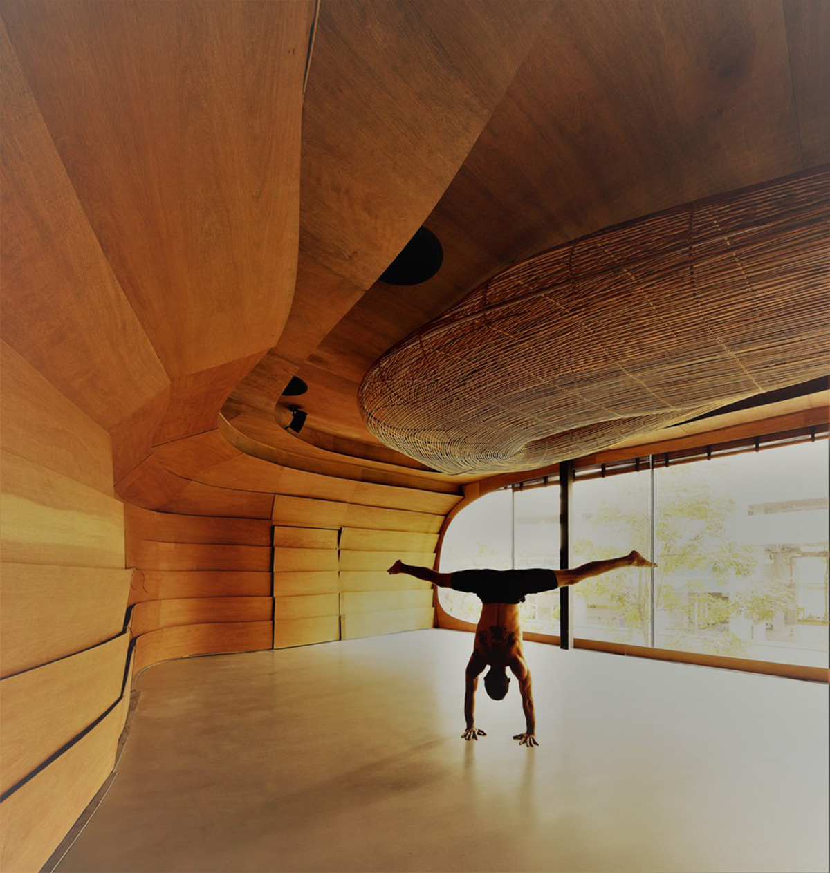 Free form wooden pods wrap the interior of yoga space in Bangkok designed by Enter Projects Asia