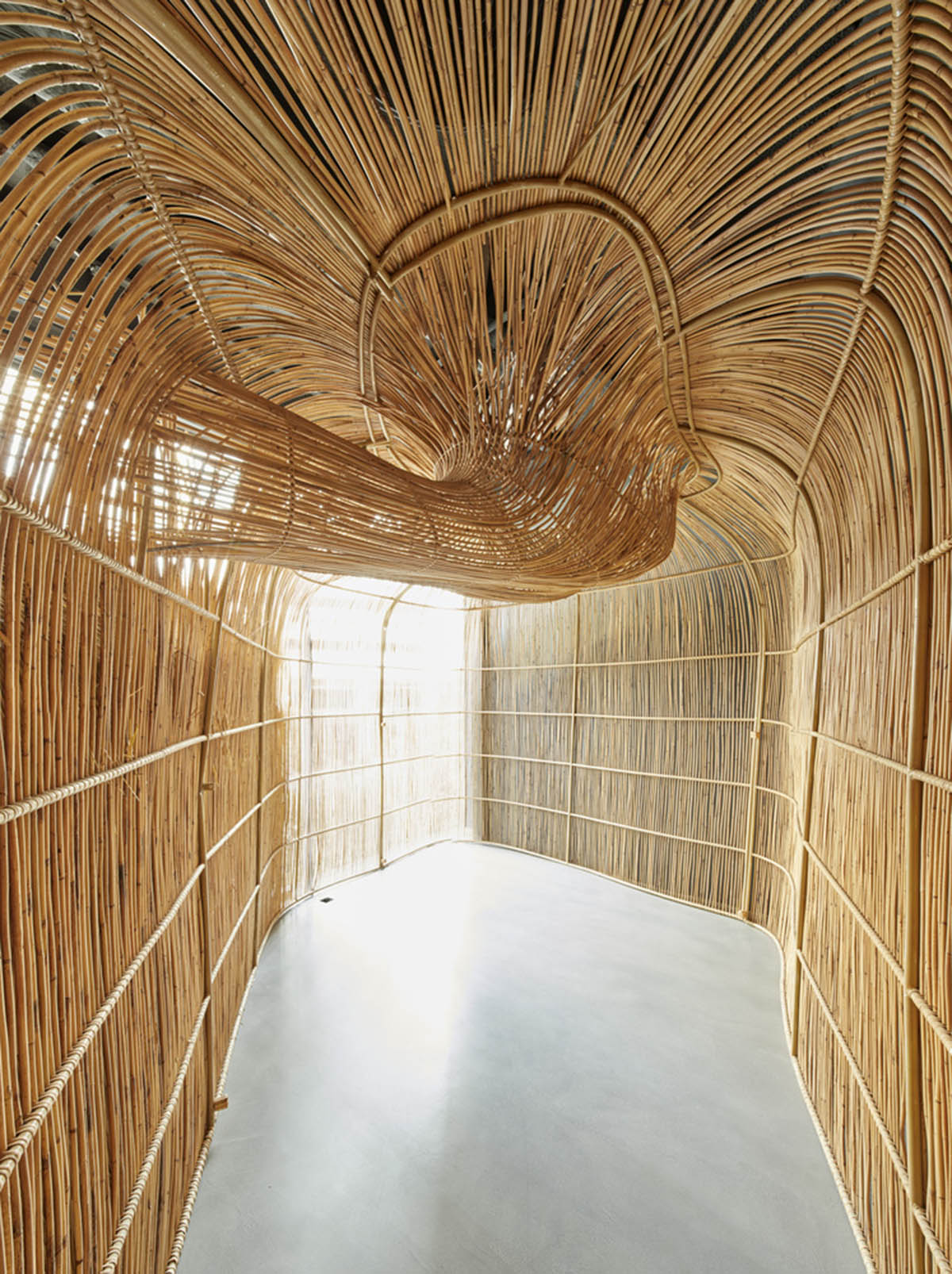Free form wooden pods wrap the interior of yoga space in Bangkok designed by Enter Projects Asia