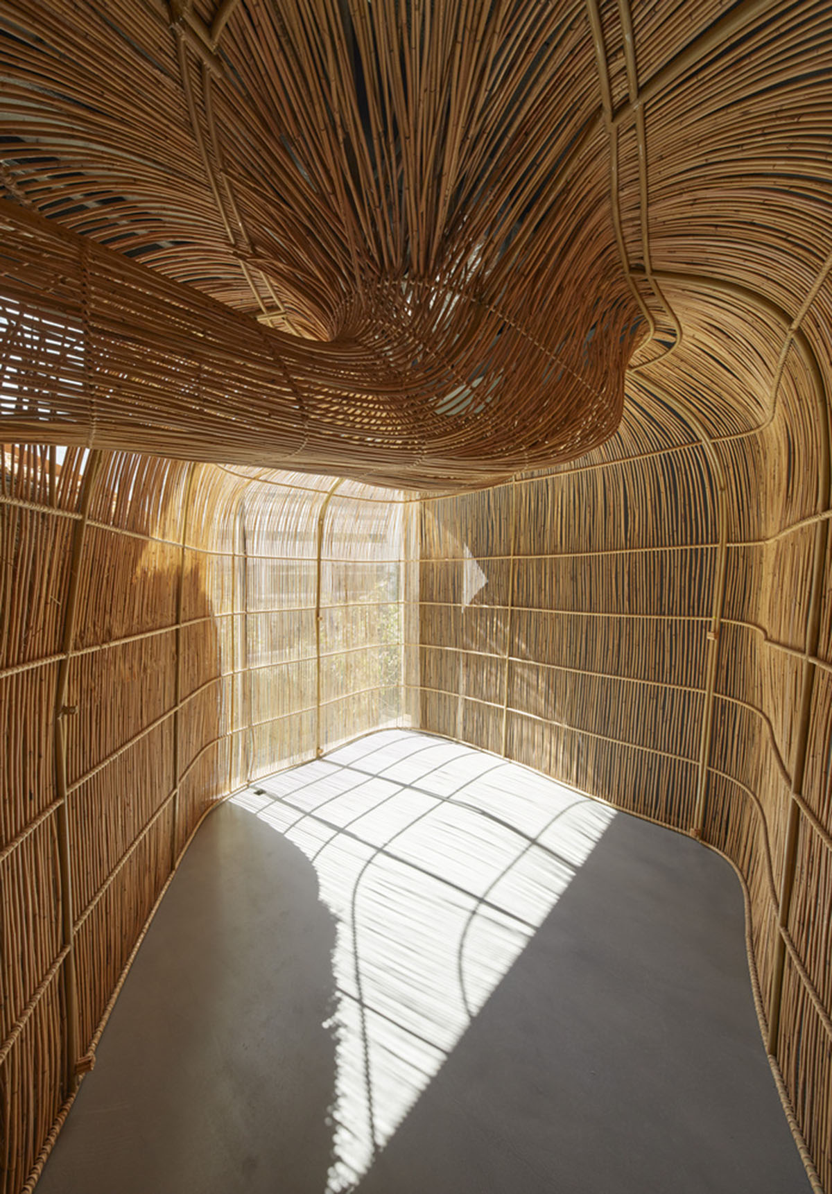 Free form wooden pods wrap the interior of yoga space in Bangkok designed by Enter Projects Asia