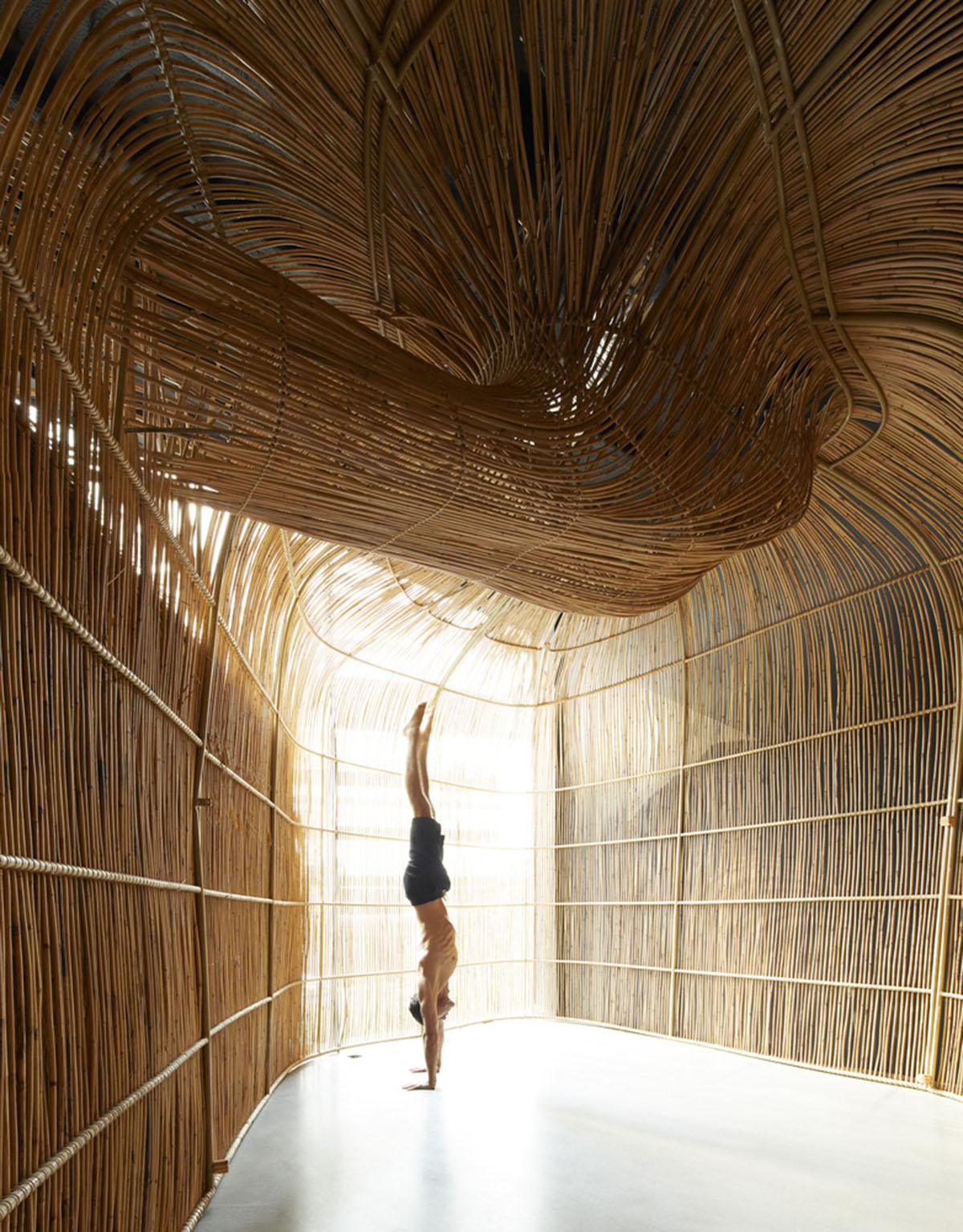 Free form wooden pods wrap the interior of yoga space in Bangkok designed by Enter Projects Asia