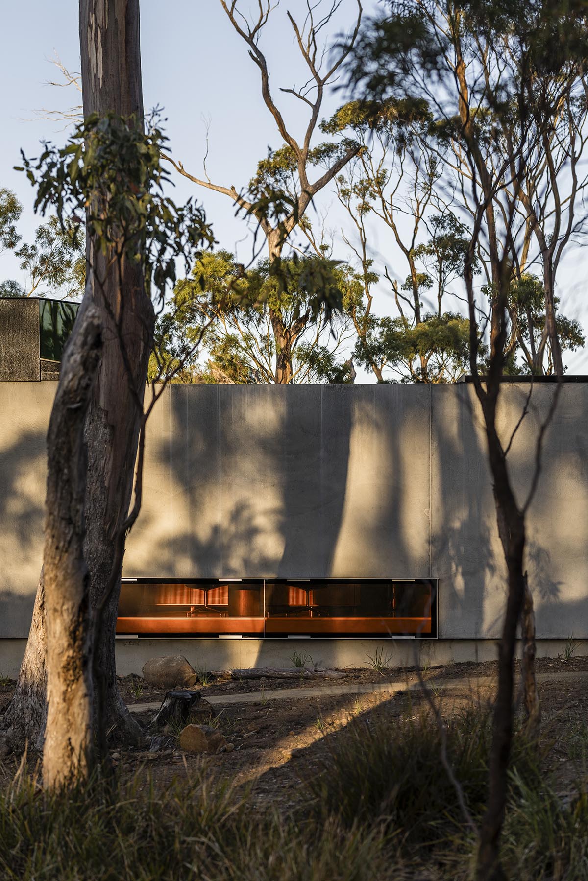 A linear, concrete tunnelled guest house by Room11 architects extends to Tasmania’s bushlands