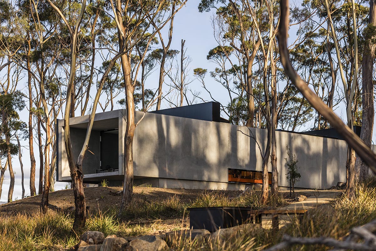 A linear, concrete tunnelled guest house by Room11 architects extends to Tasmania’s bushlands