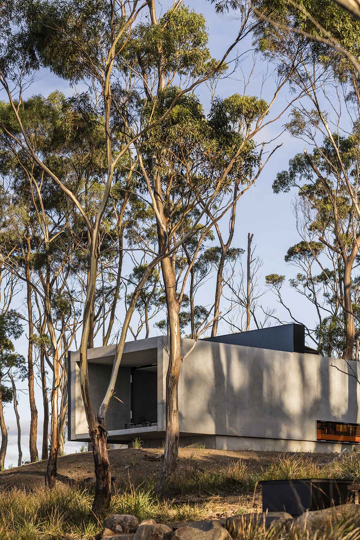 A linear, concrete tunnelled guest house by Room11 architects extends to Tasmania’s bushlands