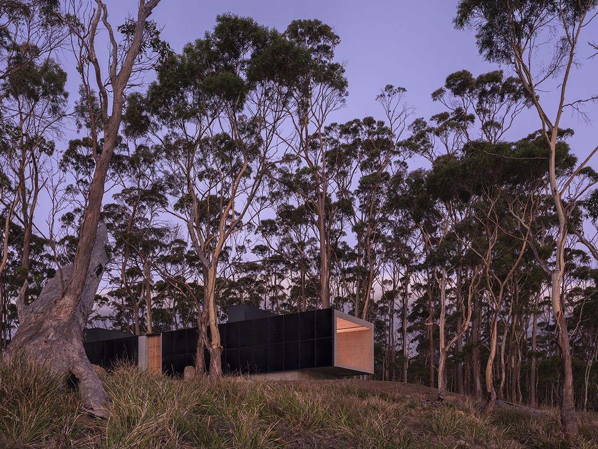 A linear, concrete tunnelled guest house by Room11 architects extends to Tasmania’s bushlands