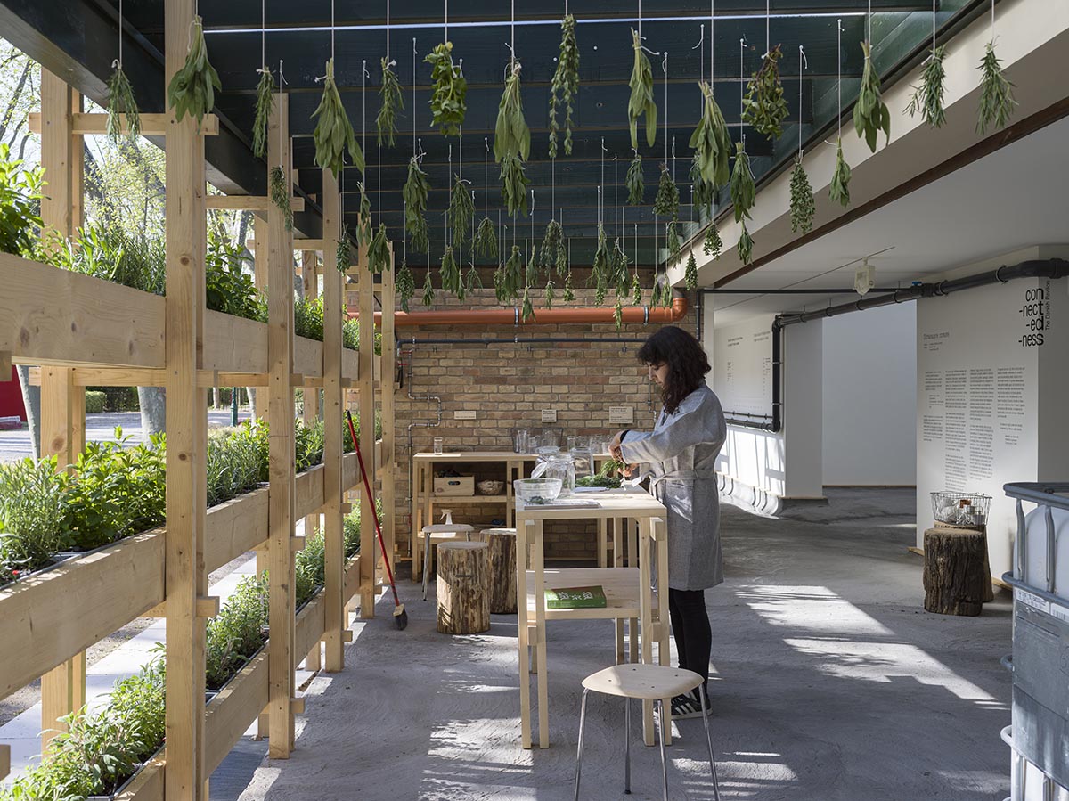 Danish Pavilion installs a cyclic water system connecting visitors with water at Venice Biennale