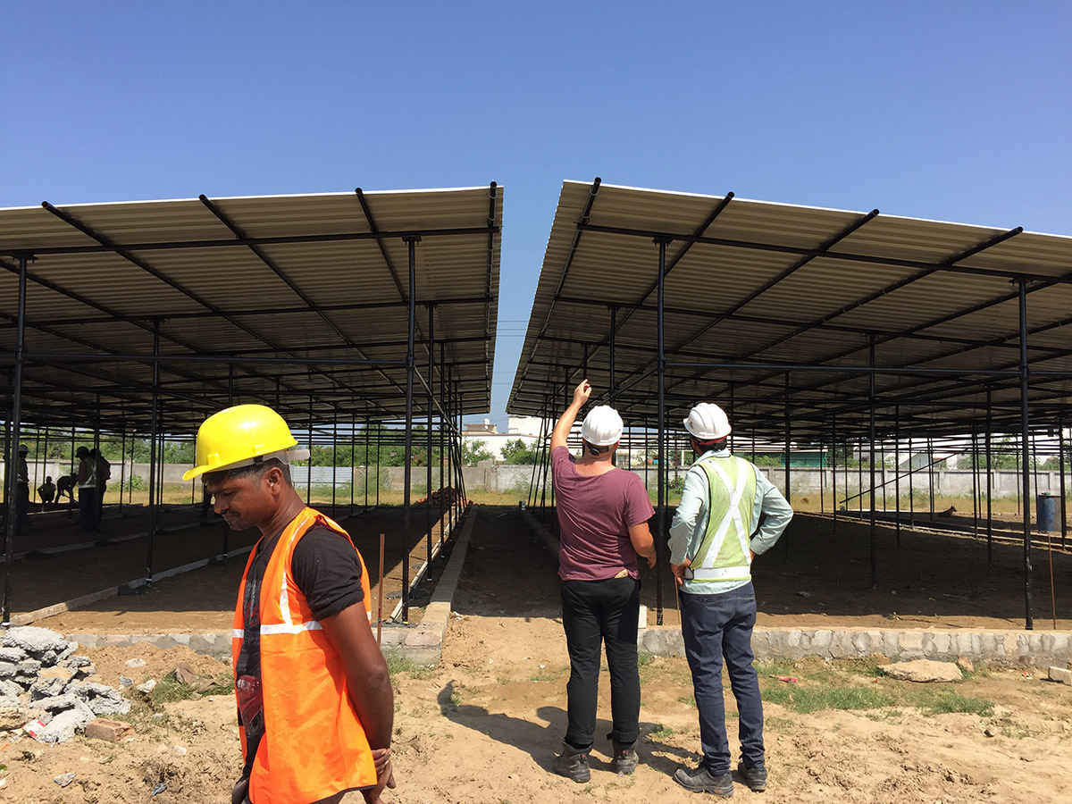 A Pulse in the Nebula