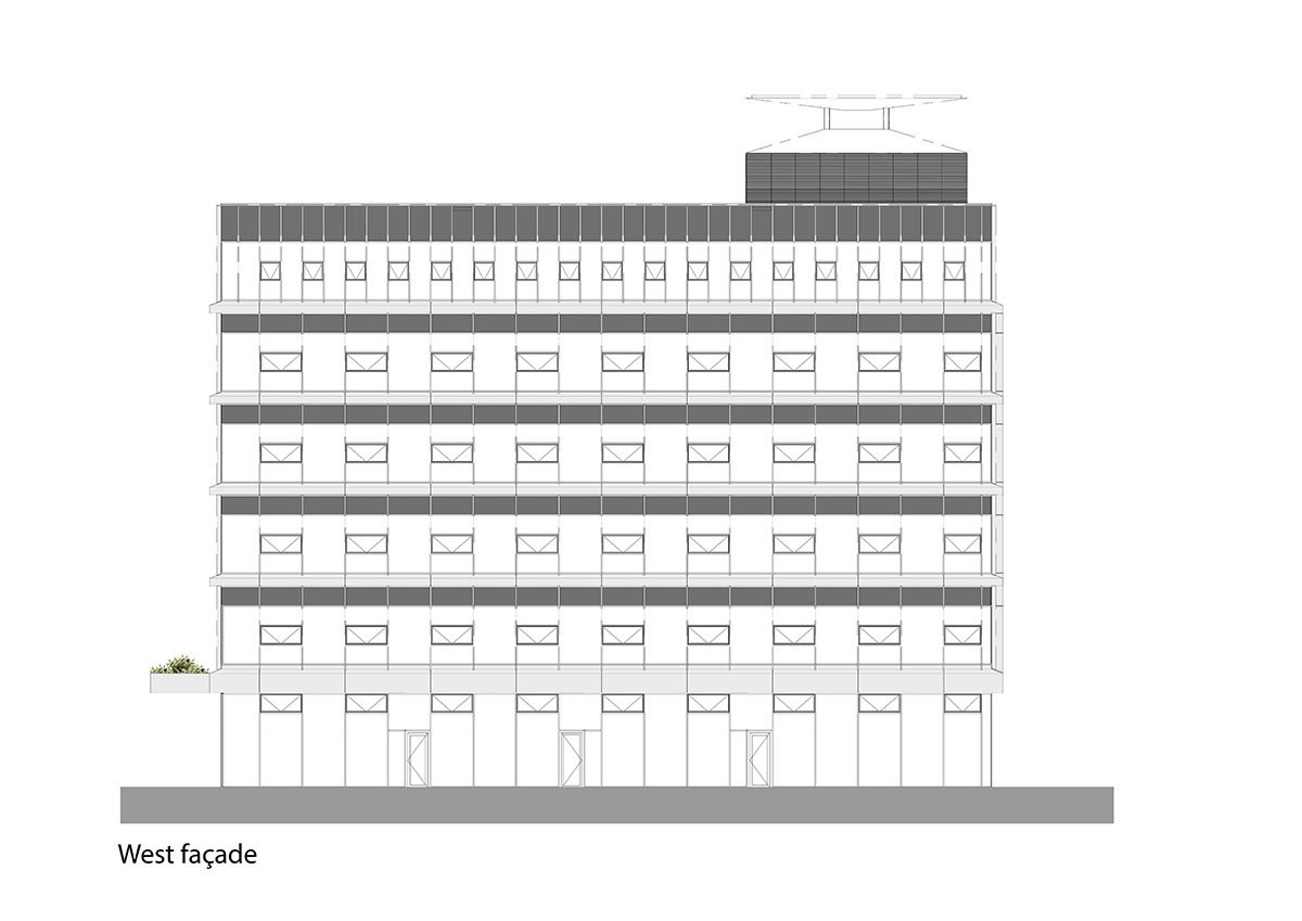 Untreated tree trunks pass through the central staircase of the Langeveld Building in Rotterdam