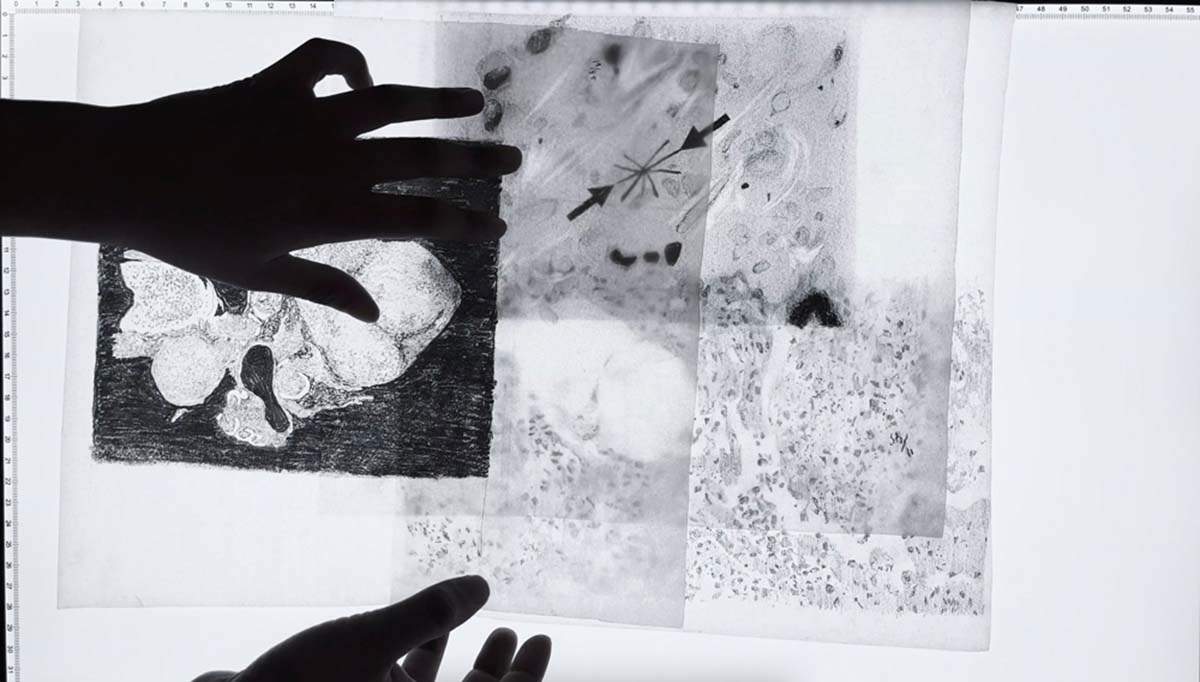 Thandi Loewenson wins Harvard GSD's 2024 Wheelwright Prize