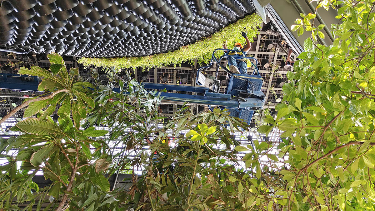 Technology and art merge at the Singapore Pavilion at Expo Dubai 2020