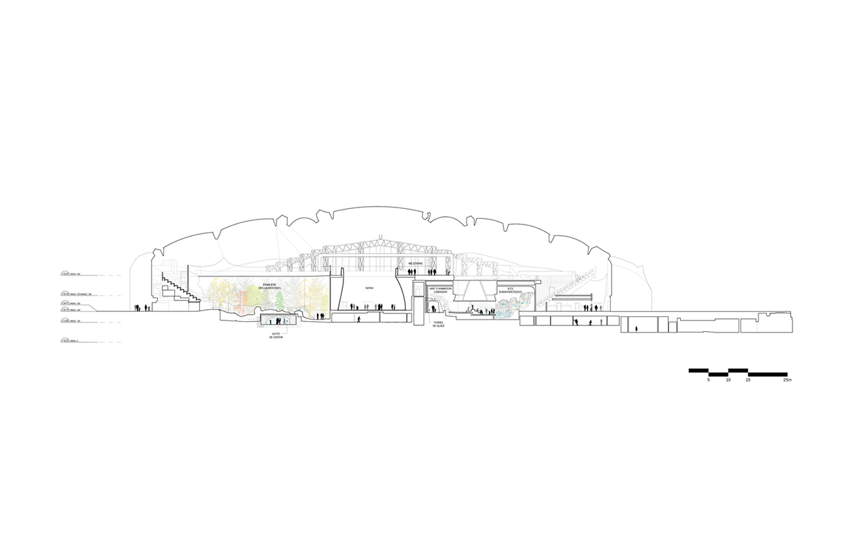 Kanva revitalizes Montréal Biodome with triangular beams and multiple pathways in Canada