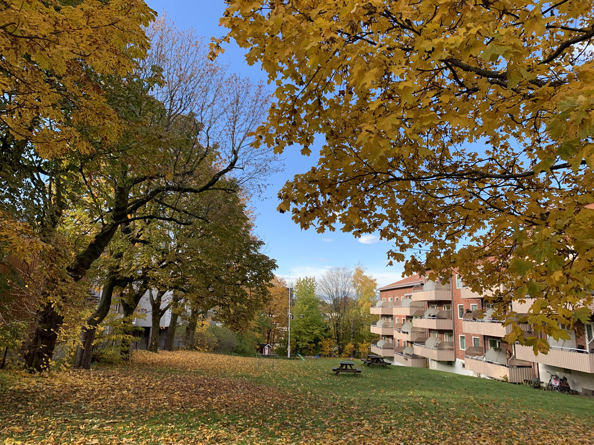 Oslo Architecture Triennale 2022 announces theme as