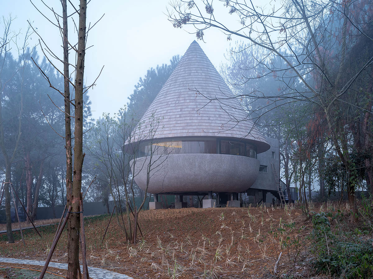 ZJJZ completes a mushroom-formed wood house in a pine forest of Jiangxi