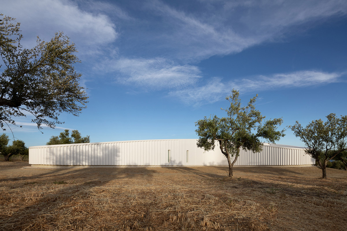LASSA architects forms rounded walls for house to provide meditative courtyards in Greek olive grove
