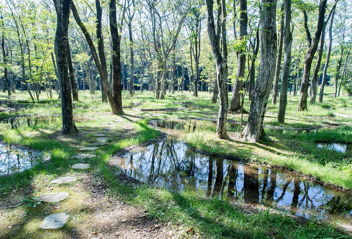 Junya Ishigami's Art Biotop Water Garden in Japan awarded The 2019 Obel Award