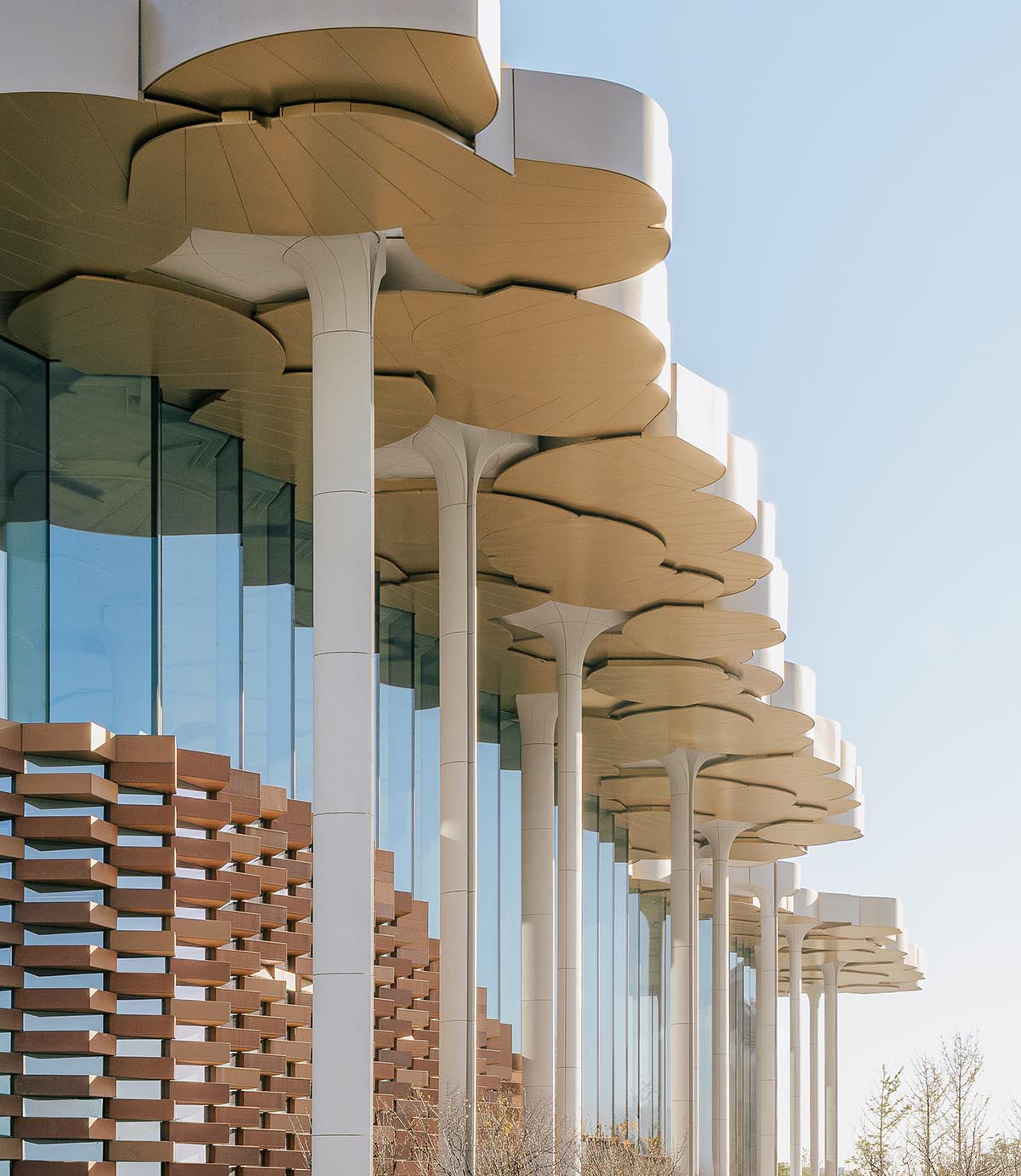 Snøhetta mimics nature under giant tree-like columns for the new Beijing City Library