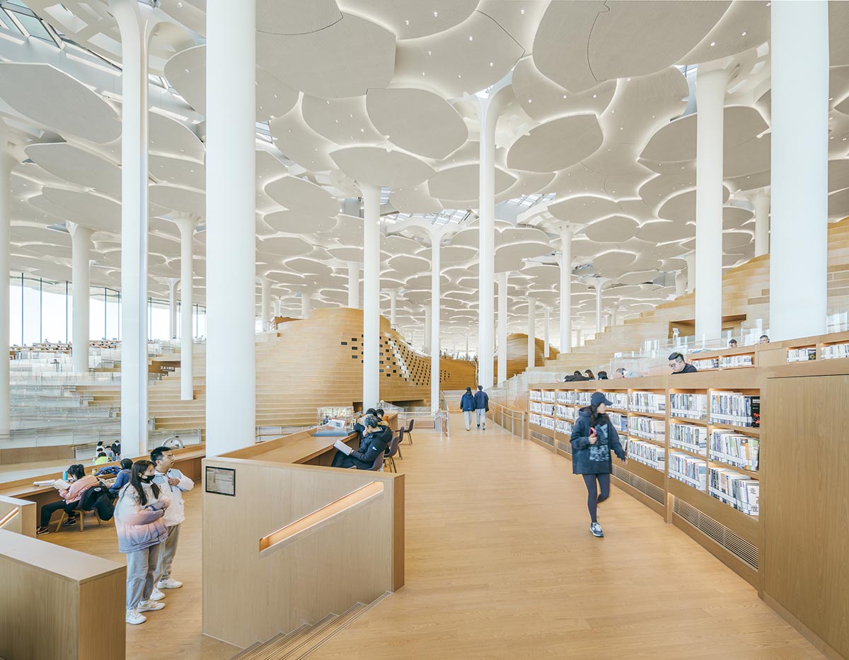 Snøhetta mimics nature under giant tree-like columns for the new Beijing City Library