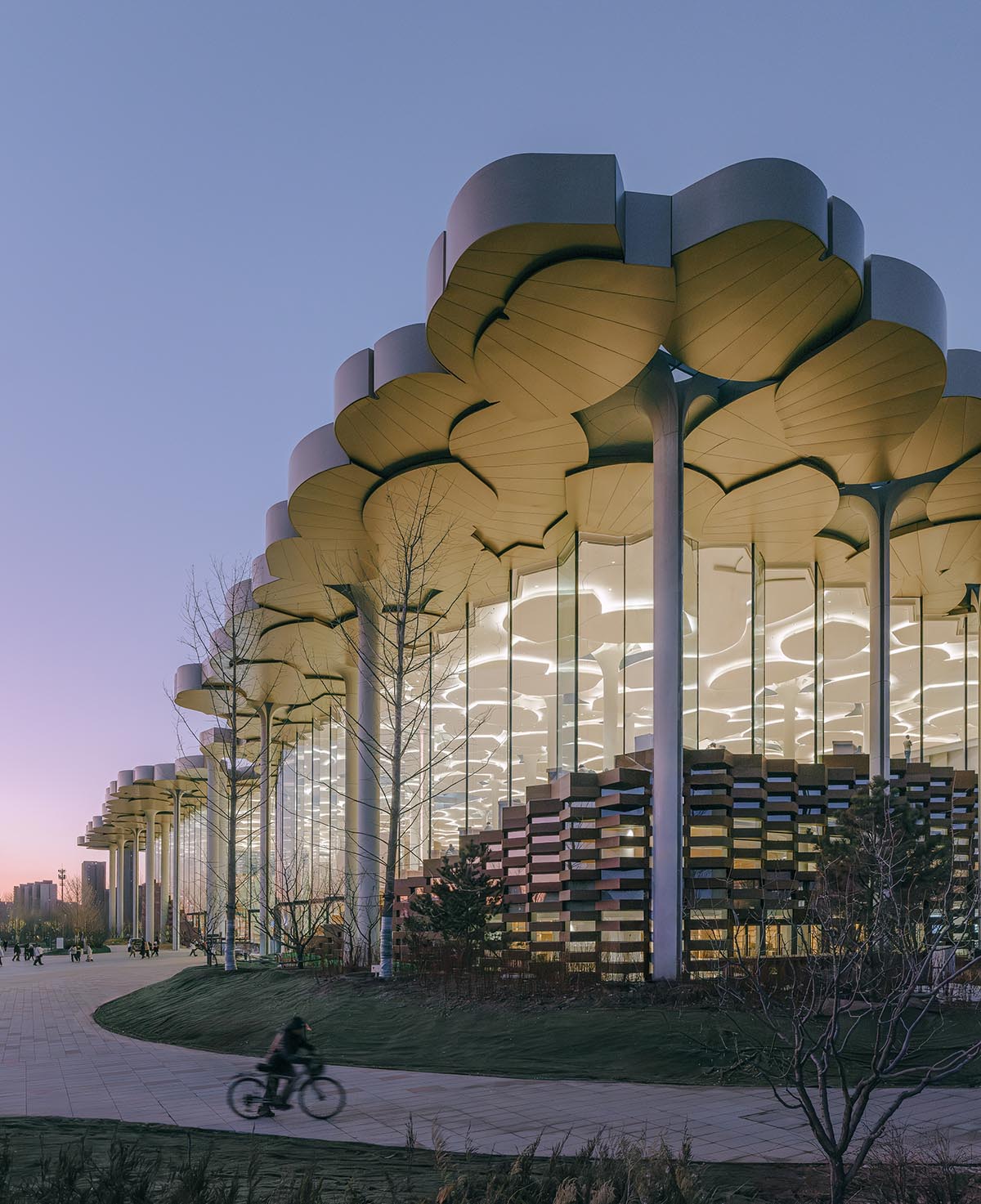 Snøhetta mimics nature under giant tree-like columns for the new Beijing City Library