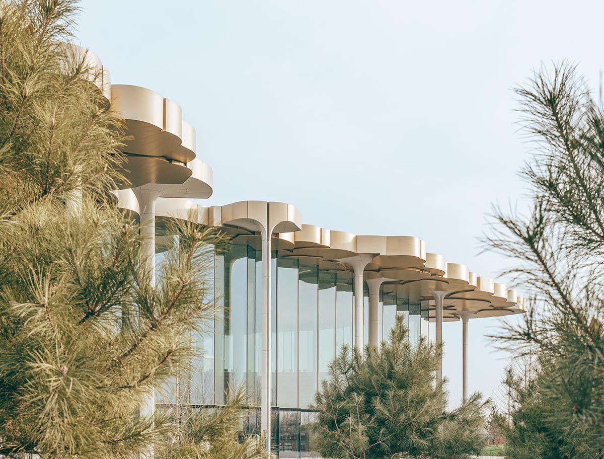 Snøhetta mimics nature under giant tree-like columns for the new Beijing City Library