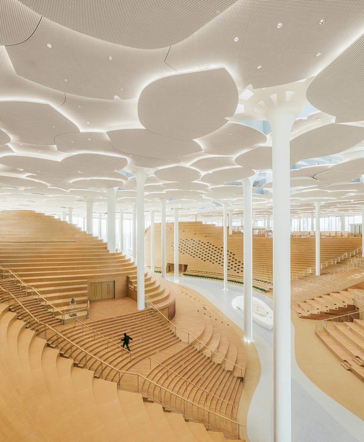 Snøhetta mimics nature under giant tree-like columns for the new Beijing City Library