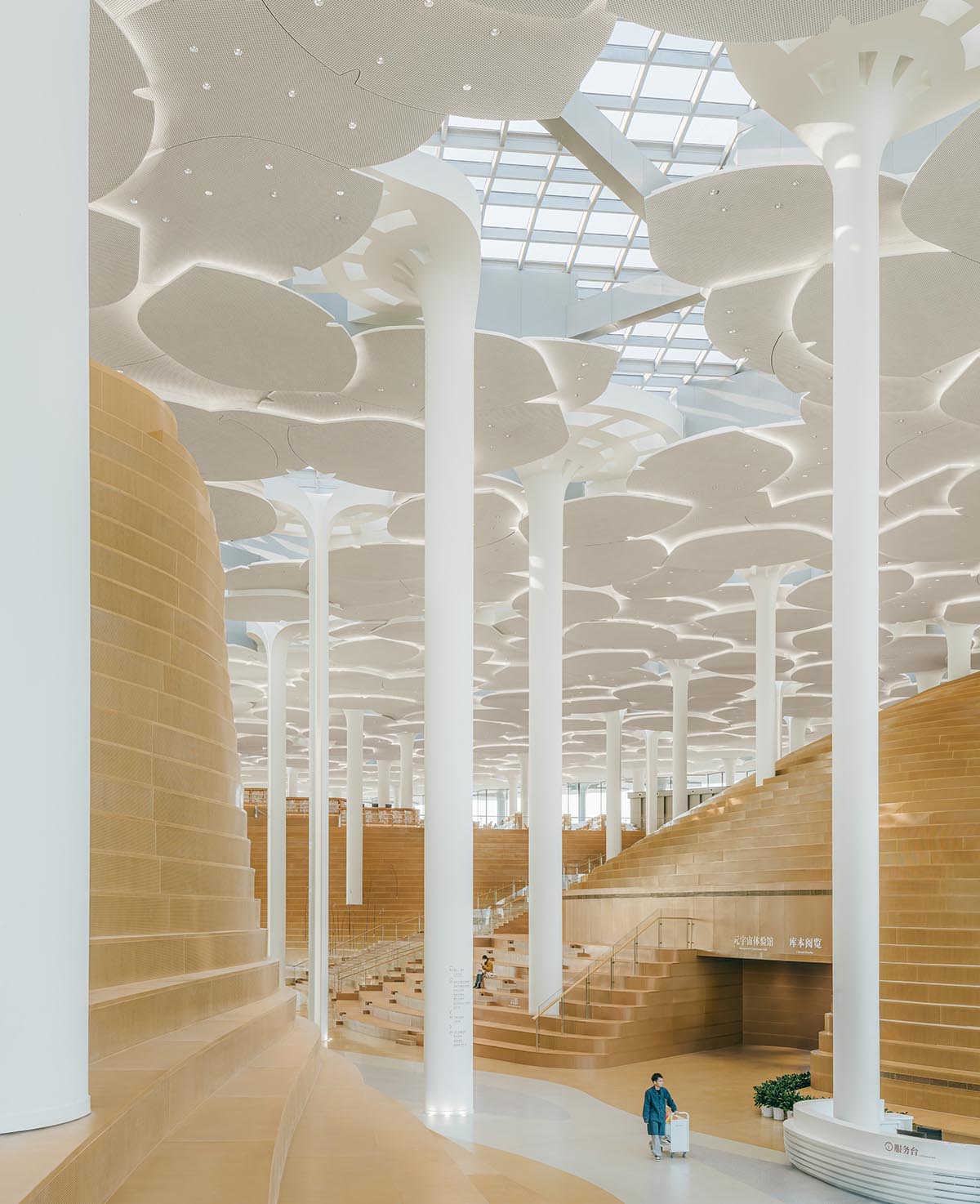 Snøhetta mimics nature under giant tree-like columns for the new Beijing City Library