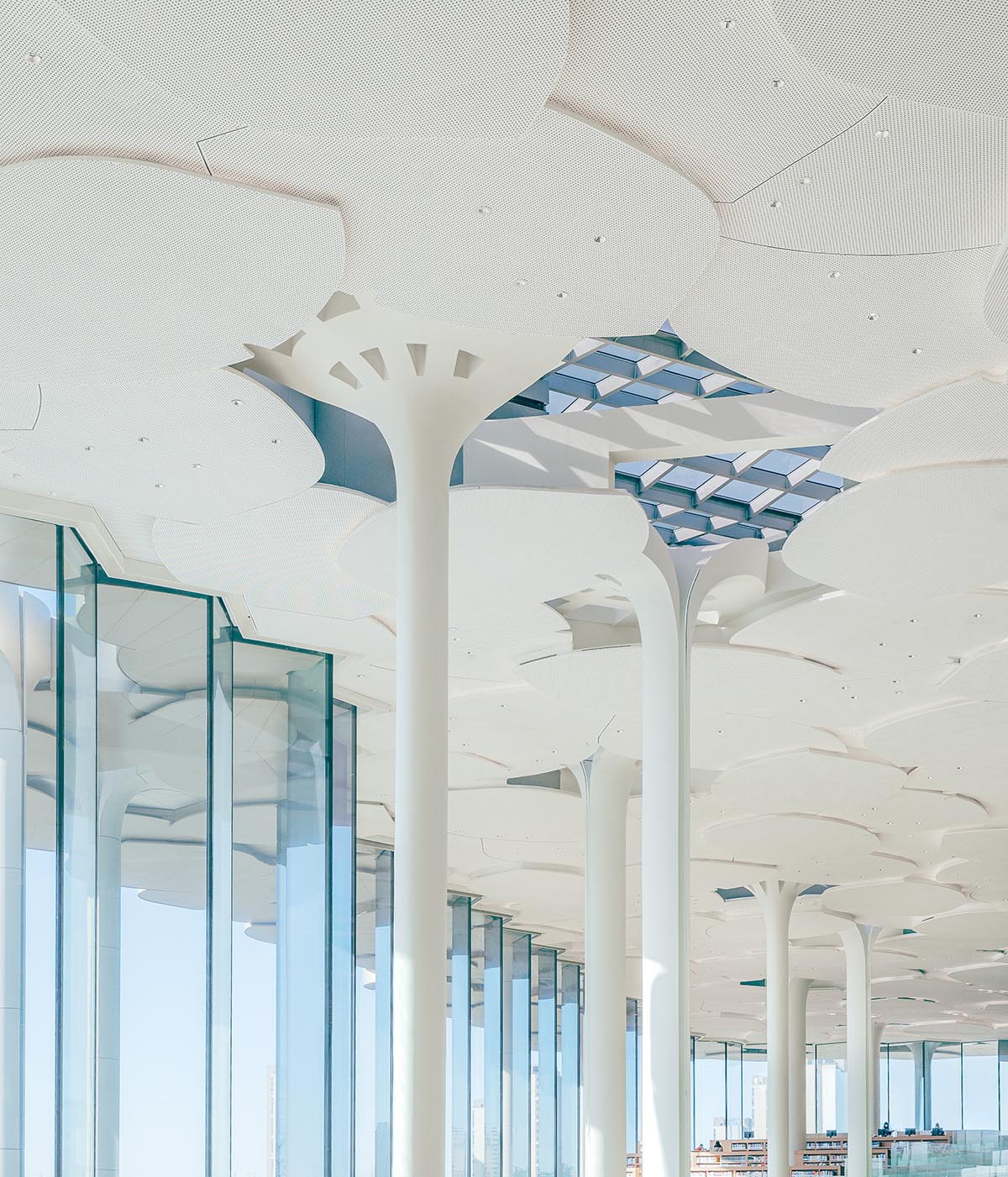 Snøhetta mimics nature under giant tree-like columns for the new Beijing City Library