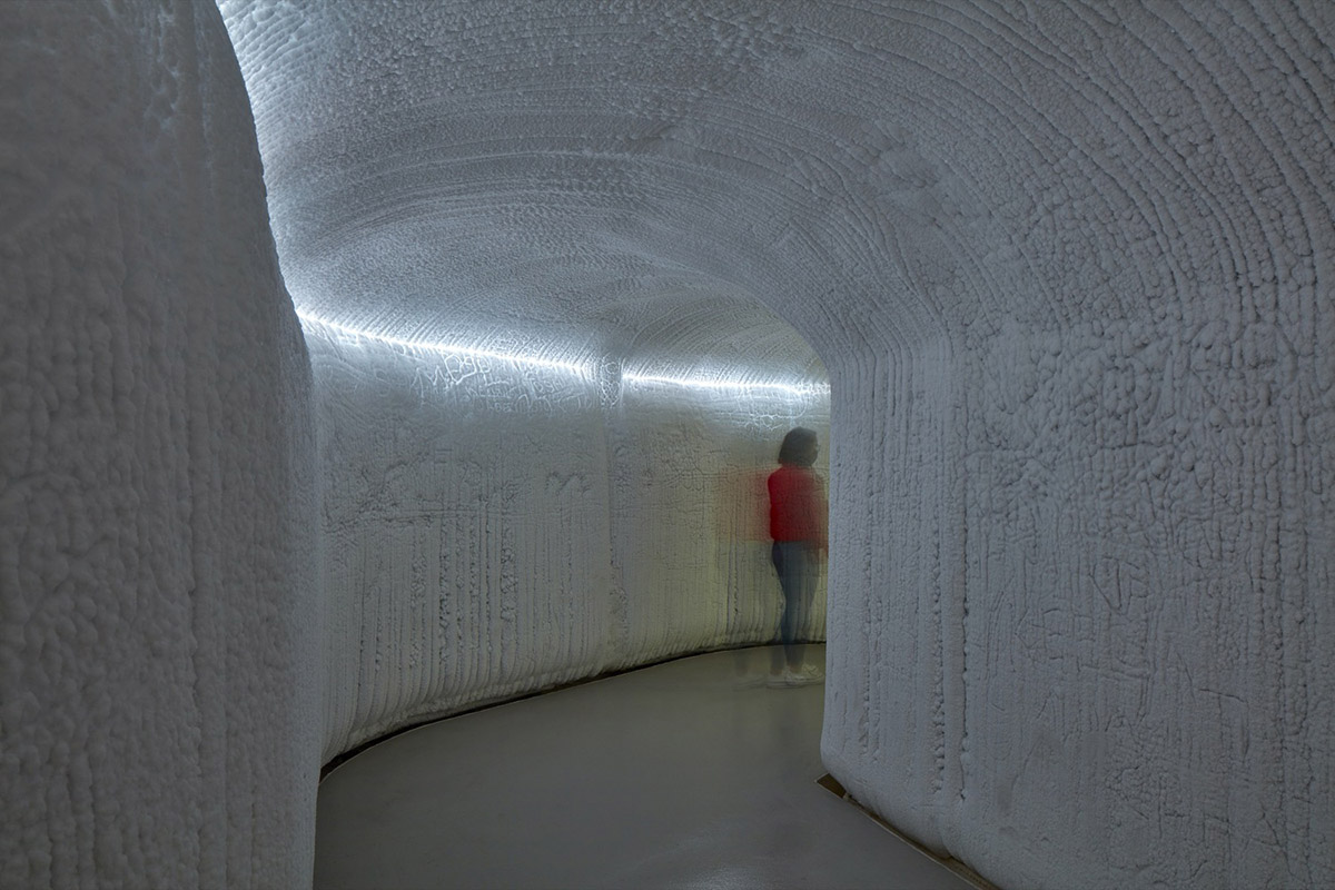 Kanva revitalizes Montréal Biodome with triangular beams and multiple pathways in Canada