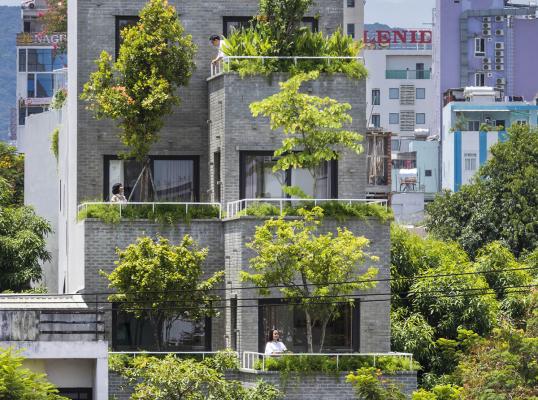 Ho Khue Architects Brings Jungle Life Into A Terraced Apartment 