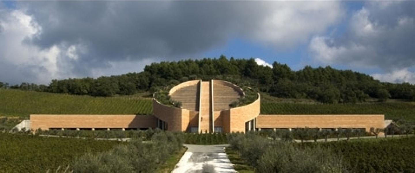 Petra Winery in Suvereto